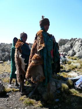 enfants du simien